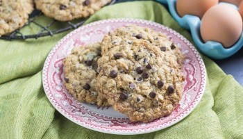 Low FODMAP Chocolate Chip Oatmeal Cookies