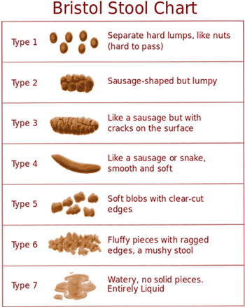 Food Chart For Ibs Patients