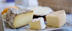 Cheeses on a plate